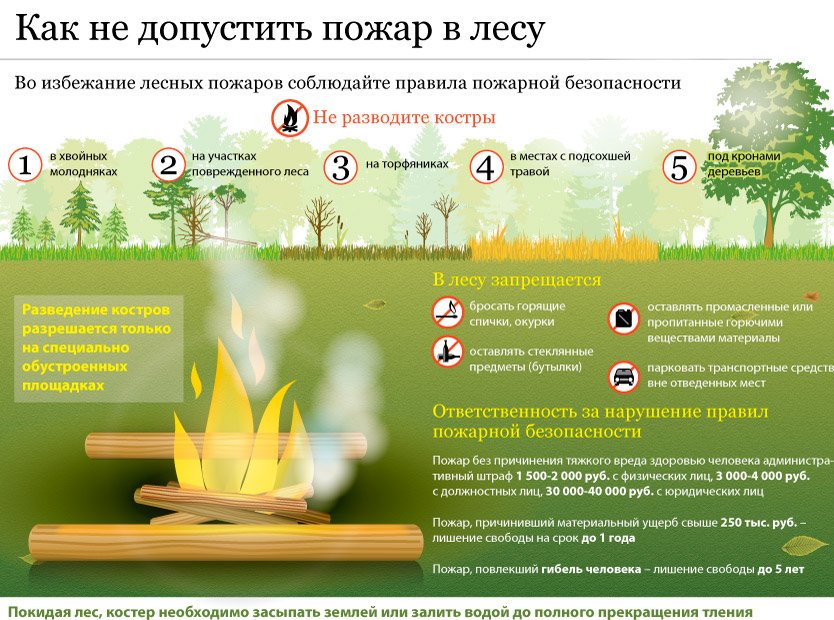Как не допустить в лесу пожар.jpg